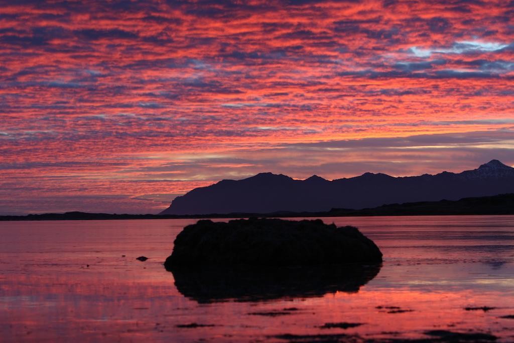 Framtid Hostel Djúpivogur Dış mekan fotoğraf